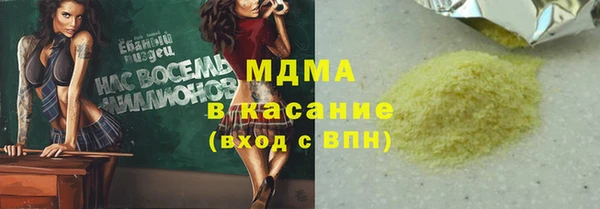индика Билибино