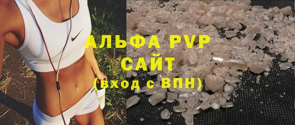 индика Бикин