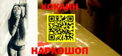 стаф Гатчина