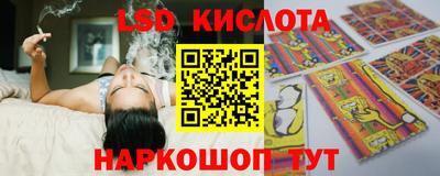 стаф Гатчина