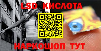 стаф Гатчина