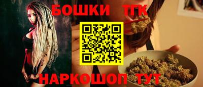 стаф Гатчина