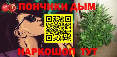 apvp Гагарин