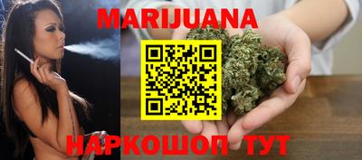 стаф Гатчина