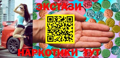 стаф Гатчина