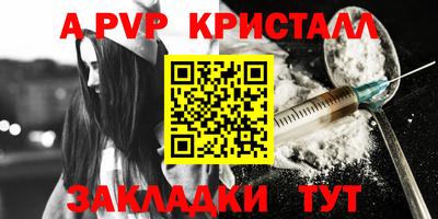 стаф Гатчина