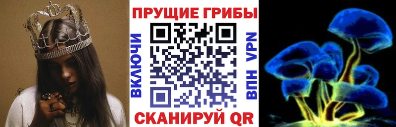 Псилоцибиновые грибы MAGIC MUSHROOMS Ишим