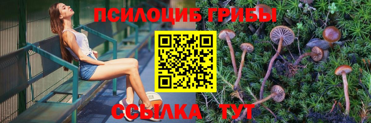 Ишим  Галлюциногенные грибы Psilocybine cubensis  Вход с VPN 
